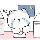 션하냥 이미지