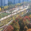 철산13단지삼거리~철산주공삼거리 이미지
