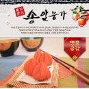 송암2농장 Daum카페
