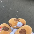 대굴대굴식당 이미지