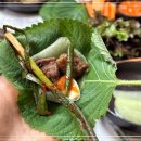 마장동생고기배곧점