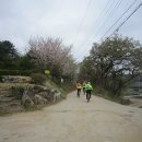갈천농장 티스토리