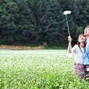 브릿지메디칼 이미지