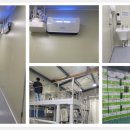 매일행정사사무소 이미지