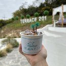 테라스201