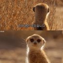 순이네밥집 이미지