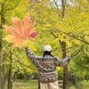 달둔소낭펜션 이미지