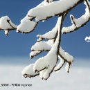 별텔레콤
