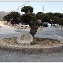 서기마을회관 이미지