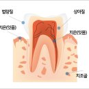 서울이좋은치과 이미지
