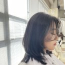 에이린헤어 이미지