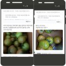 정성농장 | [공지] 낙동농장 재구매 고객분들 감사쿠폰 드립니다. 감사합니다.