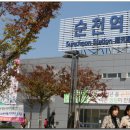 순천만여행 이미지