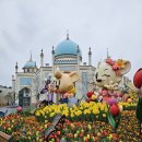 에버랜드 팬더 이미지