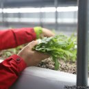 대박4농장 이미지