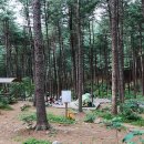 숲속캠핑장 이미지