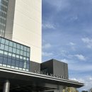 뷰티더문 | 동해바다 오션뷰가 최고인 쾌적한 5성급 숙소 신라모노그램 강릉호텔(디럭스 오션뷰 2박 후기)