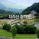 지리산 청학동/여행작가 진영호(영상:개울) 2014. 8. 10 이미지