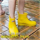 전주대학교키즈태권도 2호 | 페이퍼플레인키즈 장화 220, 초등학생 레인부츠로 추천하는 이유