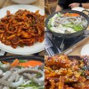원당길 | 안산 초지동 찐 맛집, 산낙지 연포탕부터 낙지볶음까지 다 맛있었던 &#34;최정희 낙지마당&#34; 내돈내산 후기
