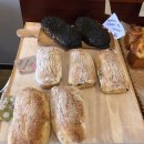 고르씨에 이미지