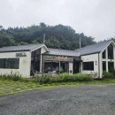 초오록 | <부산/기장> 화창한날 다시 방문하고 싶었던 일광 카페 초오록