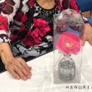 진안고원치유의숲 이미지