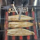 정선애 장어 먹으러 와요 | [강원도 정선군] 정선애장어먹으러와요