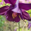 한농한의원 이미지