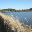 모락산 둘레길 이미지