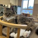 안다 동물보호소 | 안다 동물보호소 봉사 후기