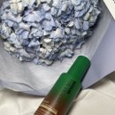 제이;나 플랜트 이미지