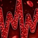 스톤복싱 이미지