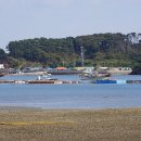 효자도2 이미지