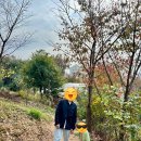 오봉산유아숲체험원 이미지