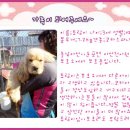 코카 이미지