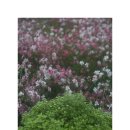 영이네농장 이미지