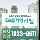 해마루초등학교 | 1석 2조의 드레스룸 지식 모음