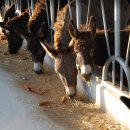 동키캐슬 캠핑장 이미지