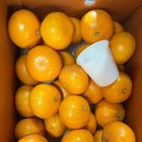 한정농장 이미지