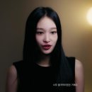 애니말 세계일보
