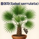 메디칼현대약국 이미지