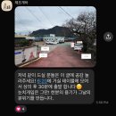 덕수초교앞4가 4 | 제주 혼자가기 좋은 조용한 게스트하우스 “제조게하”