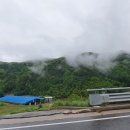장수고원흑돼지