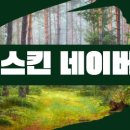 린앤스킨 네이버블로그