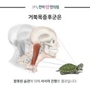 한라연한의원 이미지