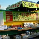 소문난개미 이미지