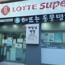 해뜨는 동물병원 해질녘책방 이미지