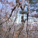 소로보건진료소 이미지