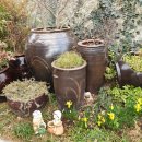 나의 소중한, 오늘 이미지